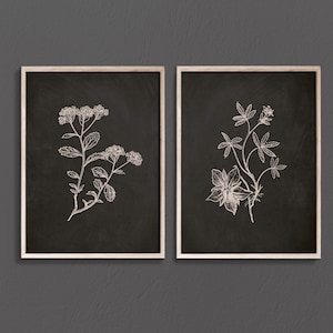 Schwarz & Weiss Blumen Drucke: Botanische Skizze Kunst (2er Set) (Digitaler Download)