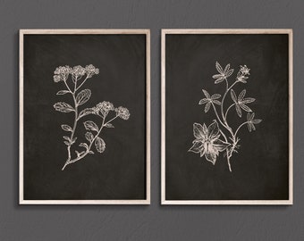Black and white flower prints, dark floral wall art, white floral poster, set of 2 prints, black background, wildflower print, botanical art