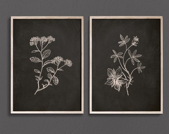 Black & White Floral Prints: Botanical Sketch Art (Set of 2) (Digital Download)