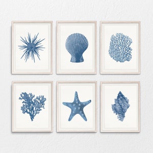 Blue coral print, shell print, nautical art prints, coastal poster, indigo printables, set of 6 prints, beach house print, starfish wall art