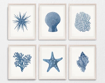 Blue coral print, shell print, nautical art prints, coastal poster, indigo printables, set of 6 prints, beach house print, starfish wall art