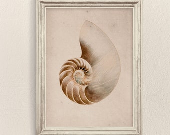 Muschel Print: Beige Küstenwand Kunst (Digitaler Download)