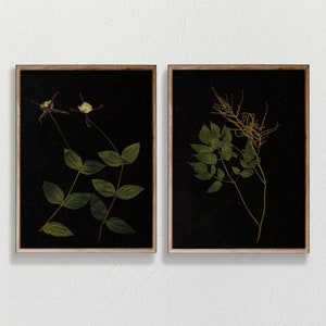 Herbarium wall art, botanical print, dark floral wall art, 2 Piece Wall Art, black background art, downloadable art prints, wildflower print