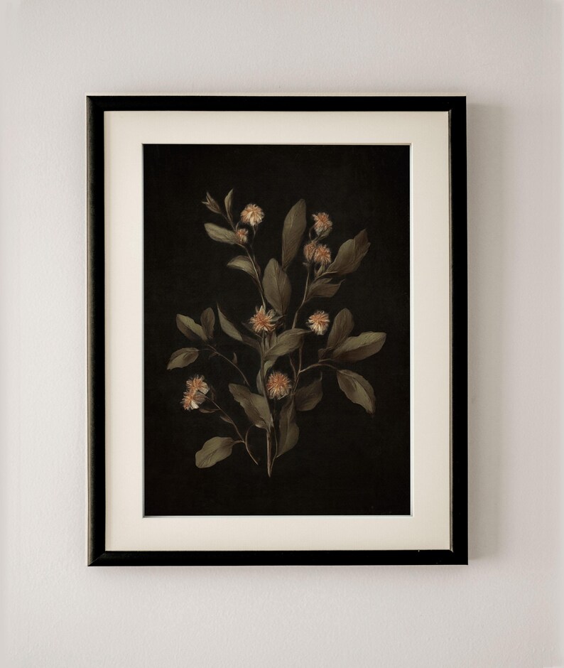 K&ouml;nnte beinhalten: Ein gerahmter Druck einer botanischen Illustration mit einem Zweig zarten wei&szlig;en Bl&uuml;ten mit gr&uuml;nen Bl&auml;ttern vor schwarzem Hintergrund.