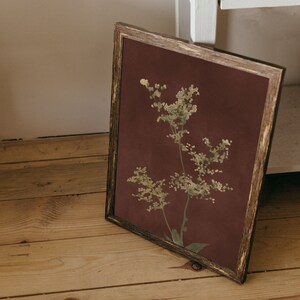 Op de afbeelding: Een ingelijste print van een botanische illustratie met een delicate witte bloem op een bruine achtergrond.