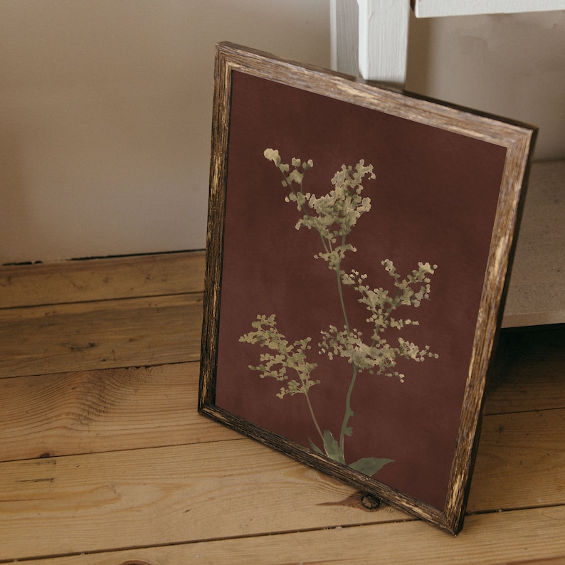 Op de afbeelding: Een ingelijste print van een botanische illustratie met een delicate witte bloem op een bruine achtergrond.