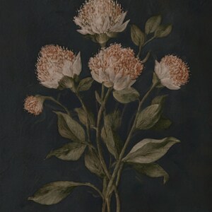 May include: A botanical painting of a cluster of peonies with soft peach-colored blooms and green leaves against a dark blue background. The artwork features detailed brushstrokes and a vintage aesthetic, suitable for home decor.