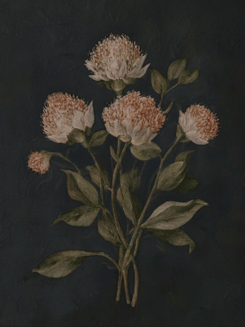 May include: A botanical painting of a cluster of peonies with soft peach-colored blooms and green leaves against a dark blue background. The artwork features detailed brushstrokes and a vintage aesthetic, suitable for home decor.