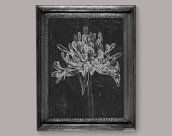 Antique Floral Sketch Print: Black & White Botanical Art (Digital Download)
