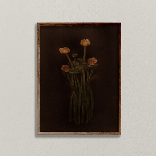 Lily Wall Art Dark Floral Wall Art Black Background Print Etsy