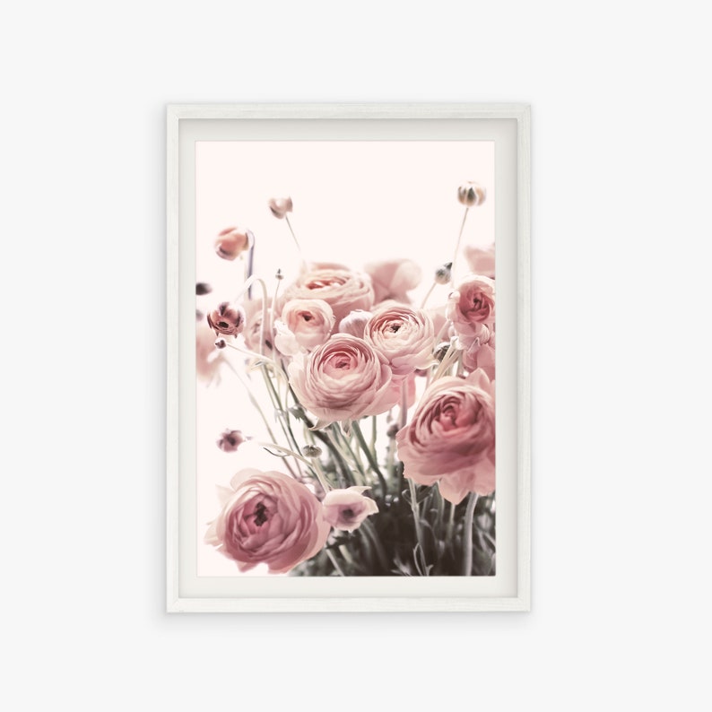 Roses print, botanical print, pink flower art, roses poster, floral print, pink botanical print, blush pink wall art, digital prints image 3