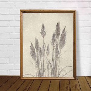 Botanical sketch art, pampas art print, vintage botanical, dried flower print, botanical poster, wildflower wall decor, sketch flower art