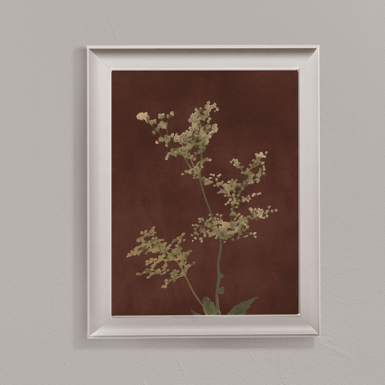 Op de afbeelding: Een ingelijste print van een botanische illustratie met een delicate, gedroogde bloem in lichtgroene kleur tegen een dieprode achtergrond.