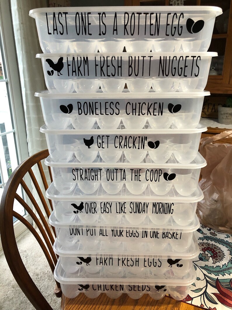 Plastic Egg Carton With Sayings Etsy