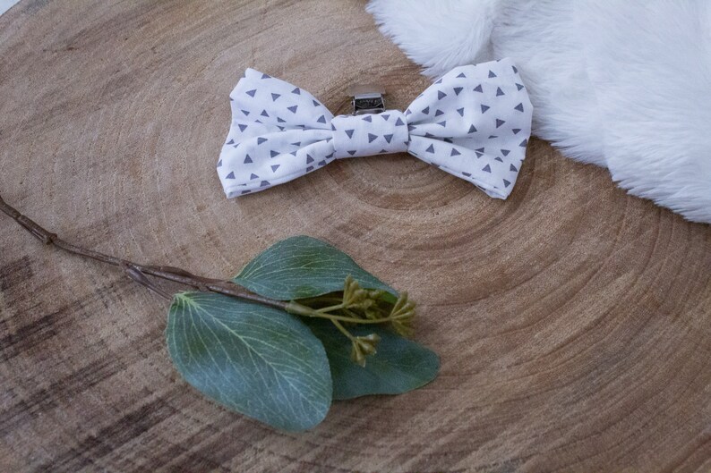 robert bowtie