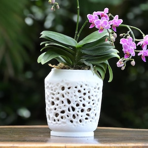 Puede incluir: Una planta de orquídea rosa en una maceta de cerámica blanca con un diseño decorativo de encaje. La maceta está sobre una mesa de madera.