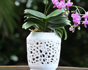 Kyo Orchid Pot