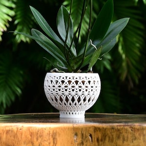 May include: A white, intricately patterned ceramic planter with a single orchid plant growing inside. The plant has green leaves and a single yellow flower bud.