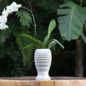 Pesce Orchid Pot