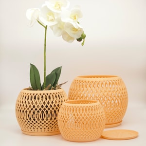 Alté Bomi Planter: Designed for Orchids & Root Aeration