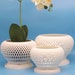see more listings in the Orchid Pots section