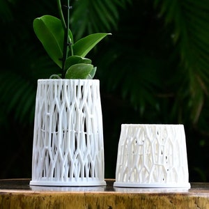 Puede incluir: Dos macetas de cerámica blanca con un patrón tejido, una de ellas con una planta de orquídea blanca con hojas verdes. Las macetas están sobre una mesa de madera.