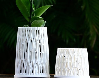 Ficus Orchid Pot