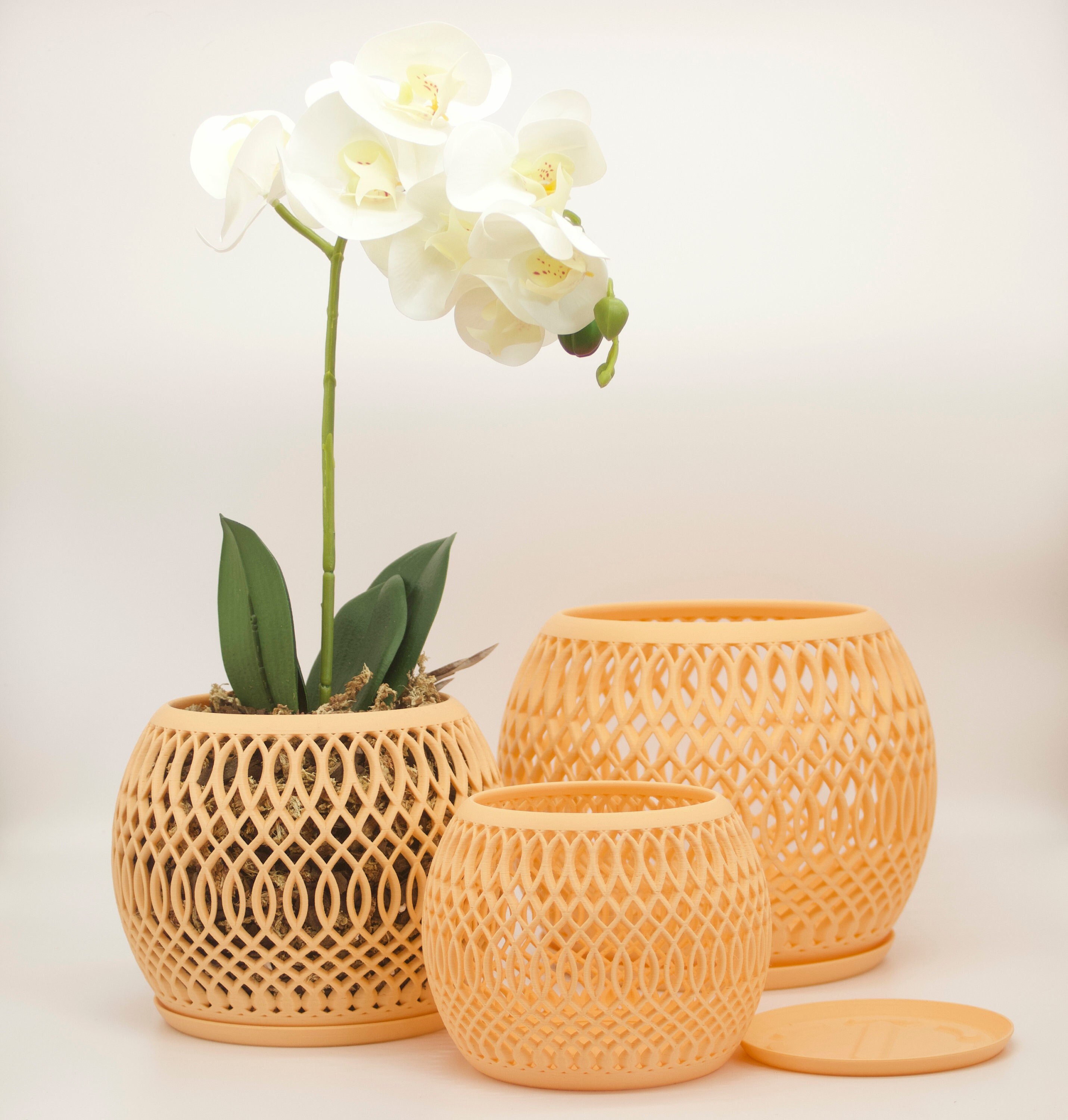 Bomi Orchid Pot and Drainage Tray Etsy