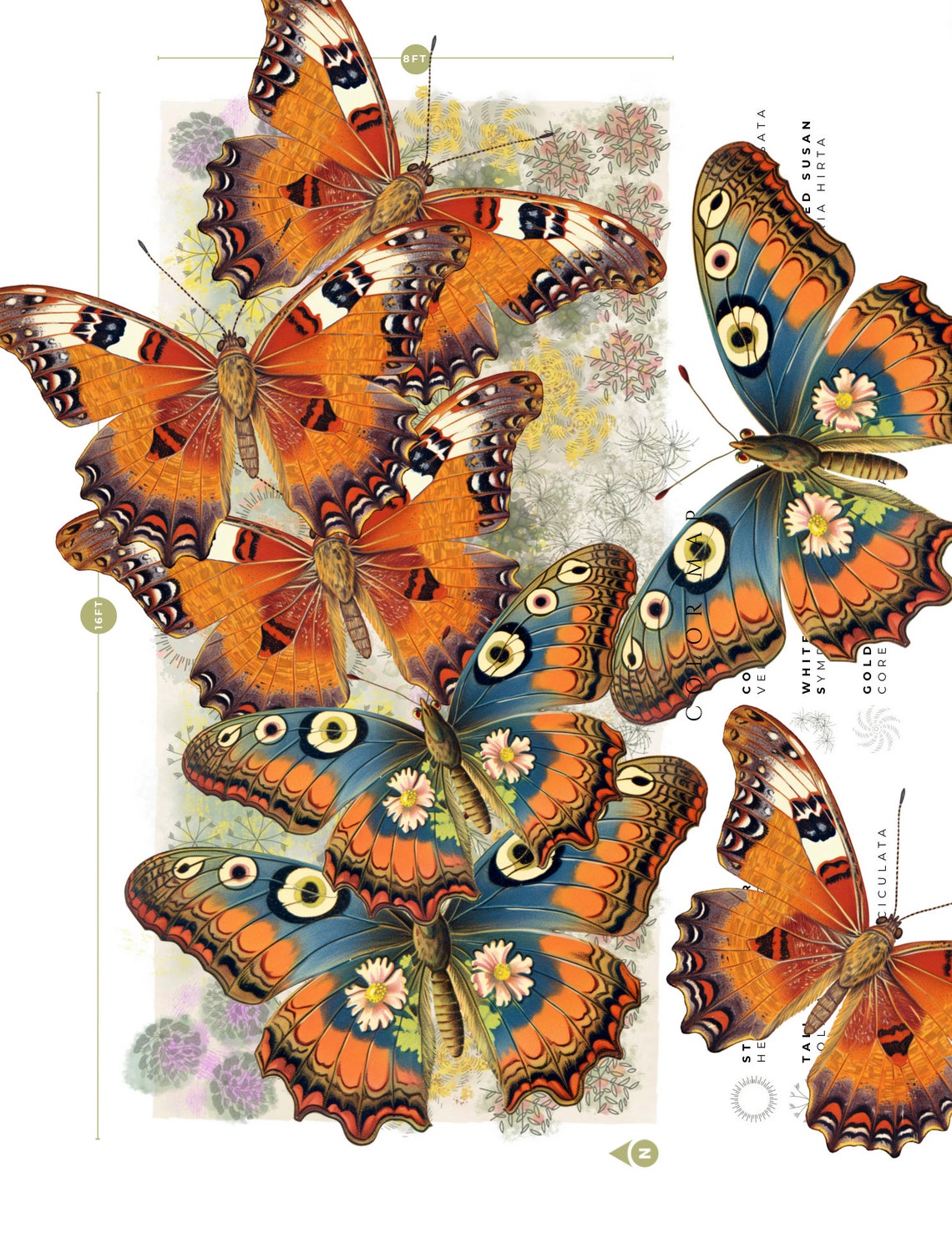 Pollinators Plan Attract More Pollinators, Plant List and Garden Plan - Etsy