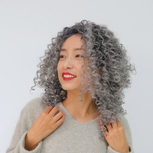 20inch black grey highlight curly wig   Salt & Pepper curly wig  Curly wigs for  women  Gradient wigs   Be myself  Classic wig