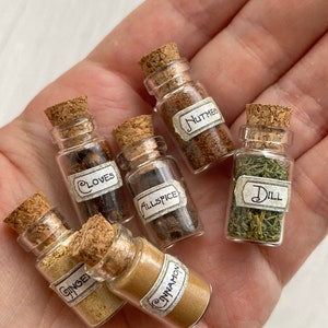 Comida en miniatura, Juego de 6 tarros con etiquetas de especias y hierbas, Tarros en miniatura para casa de muñecas, Tarros de despensa de hierbas y especias