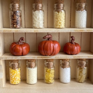 Comida en miniatura, Set de 9 botes de cereales, Botes miniatura para casa de muñecas, Botes de despensa de especias y cereales, Relleno para cocina de casa de muñecas
