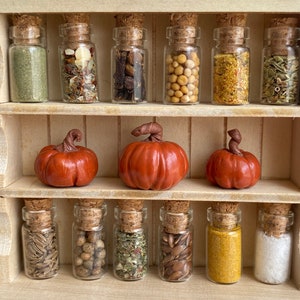 Comida en miniatura, Juego de 12 tarros de especias y hierbas, Tarros en miniatura para casa de muñecas, Tarros de despensa de hierbas y especias, Relleno para cocina de casa de muñecas