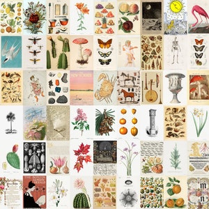 300 Pieces Vintage Botanical Wall Collage Kit Posters, Cottagecore Wall Aesthetic, Nature Collage,Boho Collage, Digital Collage, Collage Set