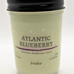 Atlantic Blueberry Soy Candle