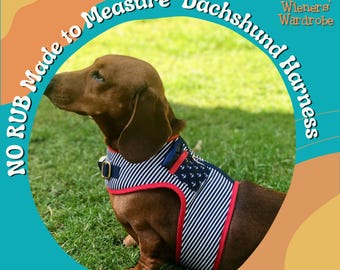 Miniature Dachshund (My first harness)