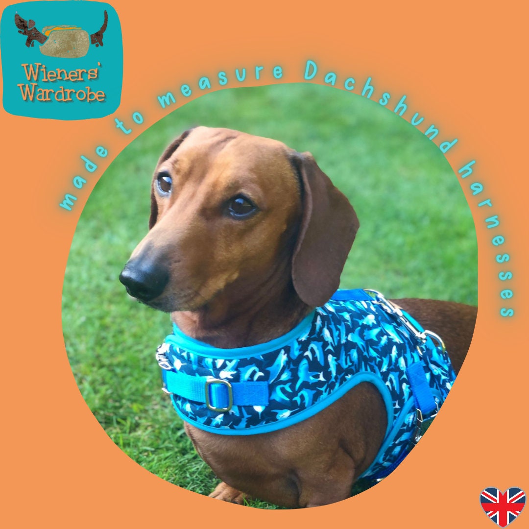 NO RUB Dachshund Harness Design Your Own Etsy