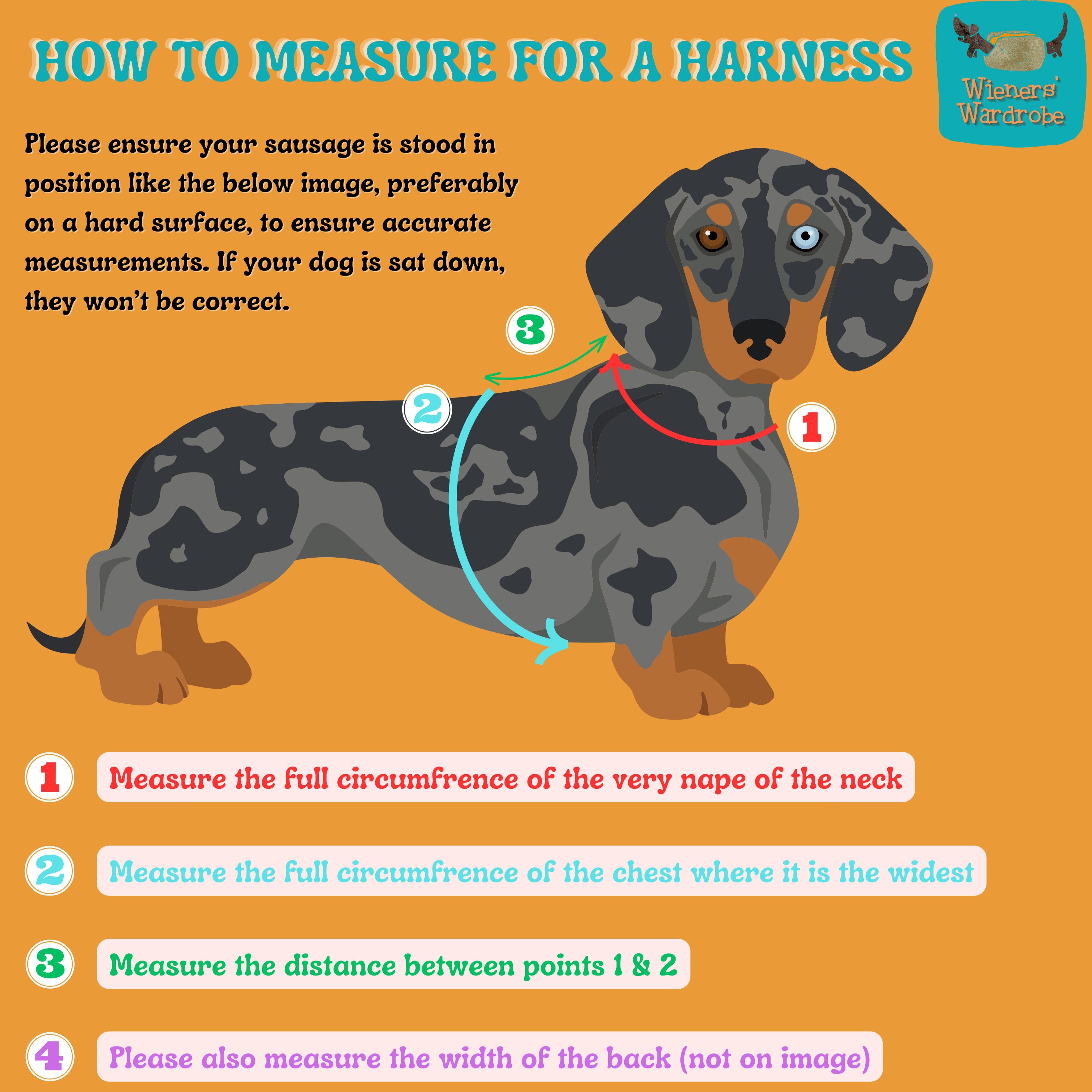 Dog harness for miniature dachshund discount