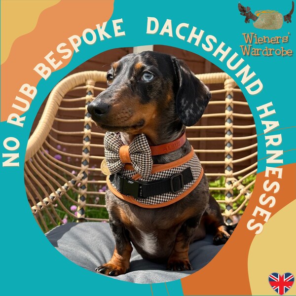 Dapper Daxie Drop- NO RUB Dachshund Harness - Made to Measure