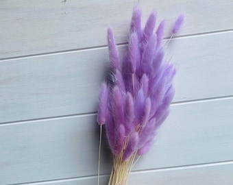 Preserved Purple Bunny Tails / Dried Lavender Rabbit Tail Grass / Dried and Preserved Flowers / Forever Flowers / Home Decor