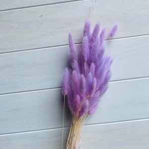 Preserved Purple Bunny Tails / Dried Lavender Rabbit Tail Grass / Dried and Preserved Flowers / Forever Flowers / Home Decor