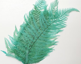 Dried Deep Teal-Blue Leather Fern / Dried Wedding Greenery Bouquet / Dried Arrangement Ferns / Home Decor and Interior / Greenery for Home