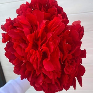 Premium Preserved Pure Red Hydrangea / Assorted Dried and Preserved Flowers / Vivid Blue Hydrangea Stem / Premium Blue Dried Flower