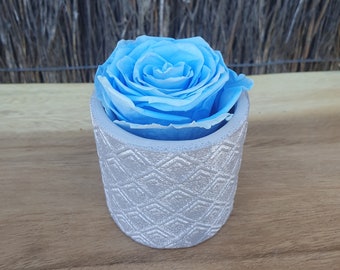 Preserved Forever Cinderella Blue Rose Encased In A Ceramic Vase | Thoughtful Gift | Birthday Gift | Forever A Gift | Bridesmaid Proposal