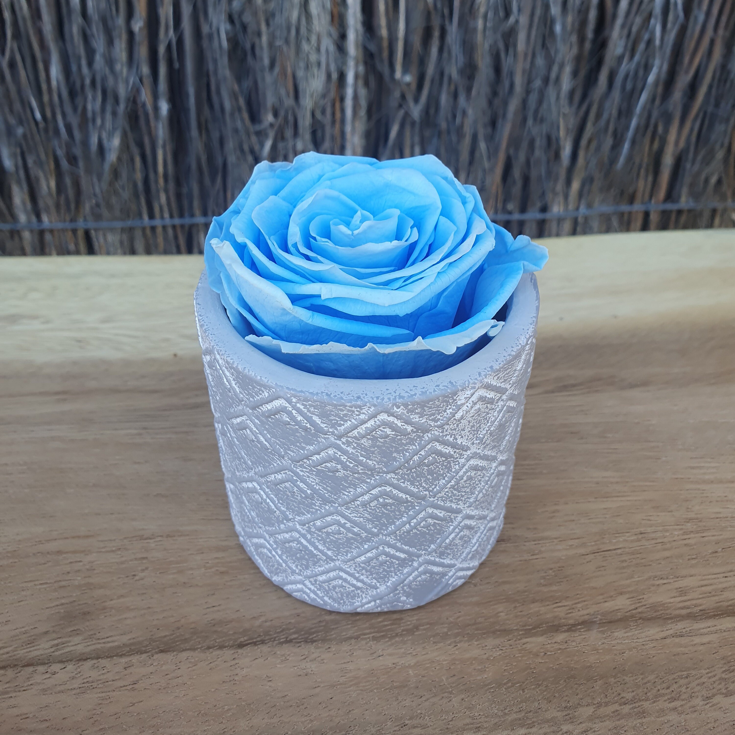 Preserved Forever Cinderella Blue Rose Encased in A Ceramic Vase 