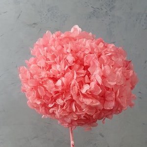 Beautiful Premium Preserved Pink Hydrangea / Assorted Dried and Preserved Flowers / Hot Pink Hydrangea Stem / Premium Pink Dried Flower