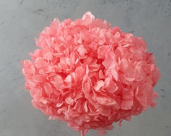 Beautiful Premium Preserved Pink Hydrangea / Assorted Dried and Preserved Flowers / Hot Pink Hydrangea Stem / Premium Pink Dried Flower