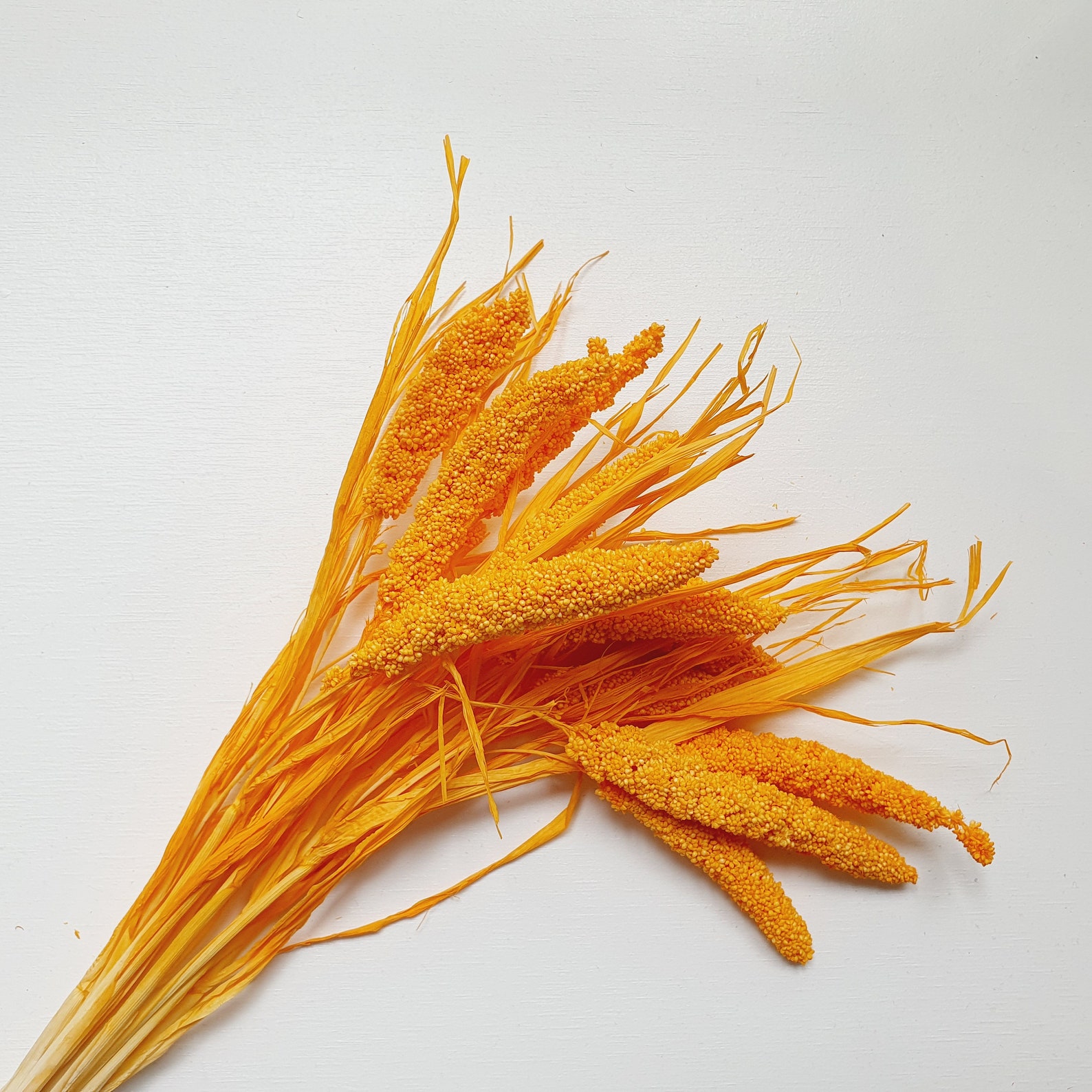 Blue Millet Dried Flowers / Everlasting Wedding Arrangement Etsy UK