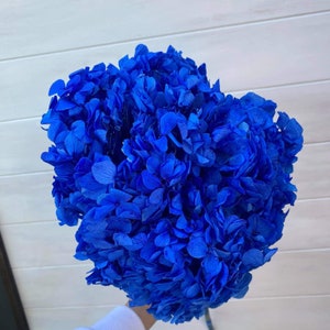 Vibrant Premium Preserved Deep Blue Hydrangea / Assorted Dried and Preserved Flowers / Vivid Blue Hydrangea Stem / Premium Blue Dried Flower