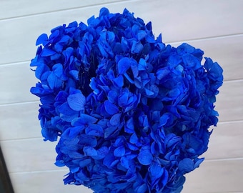 Vibrant Premium Preserved Deep Blue Hydrangea / Assorted Dried and Preserved Flowers / Vivid Blue Hydrangea Stem / Premium Blue Dried Flower